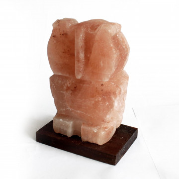 Lâmpadas de sal de animais...