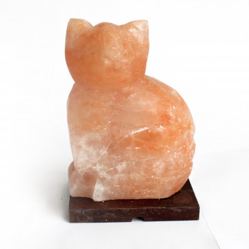 Lâmpadas de sal de animais...