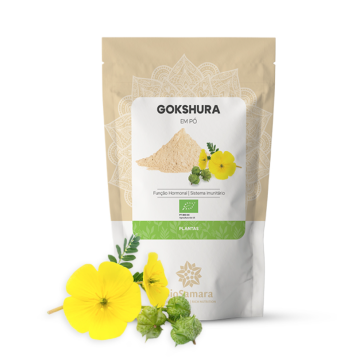 Gokshura ( Tribulus...