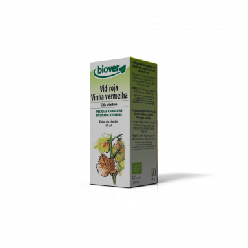 Vinha Vermelha-Vitis...