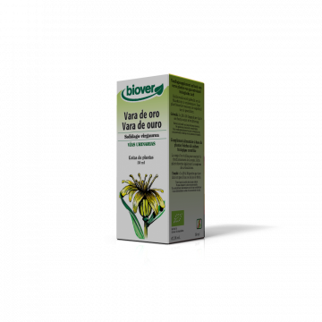 Vara de Ouro-Solidago...