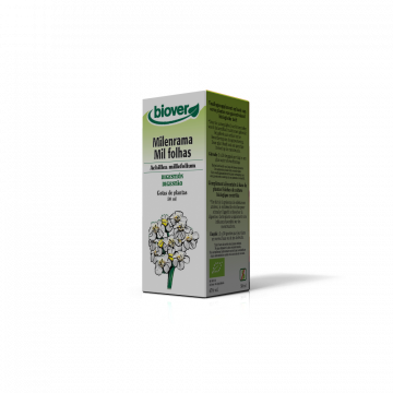 Mil Folhas-Achillea...