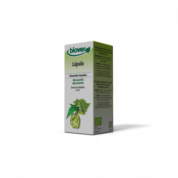 Lúpulo-Humulus lupulus BIO