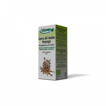 Harpago-Harpagophytum...