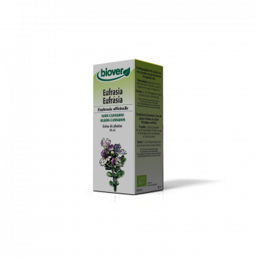 Eufrásia-Euphrasia...