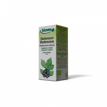 Eleuterococus-Eleutherococc...