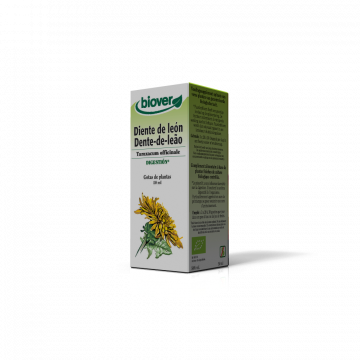 Dente de Leão-Taraxacum...