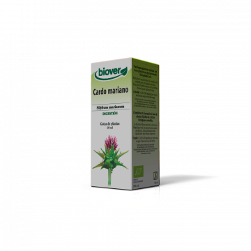 Cardo Mariano-Silybum...