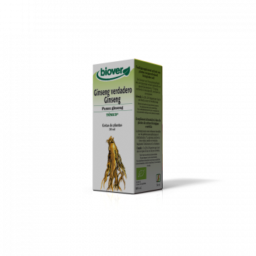 Panax ginseng +