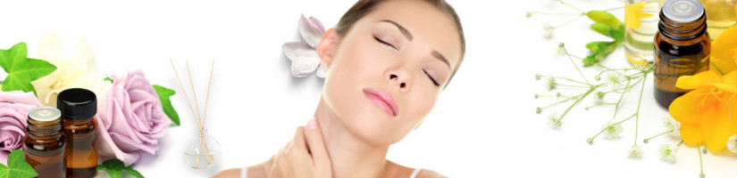 Difusores e Varas de Erva