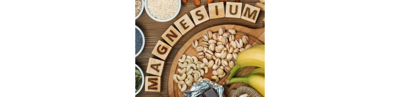 Mágnésio