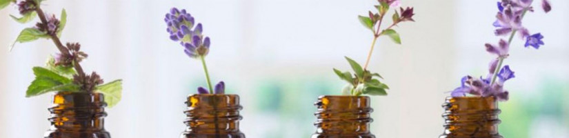 Óleos de Massagem, Cremes e Velas