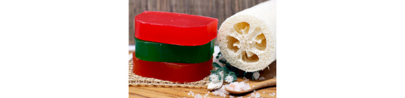 Shampoo Sólido com Óleo de Argan